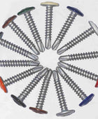 All RAL Coloured Screws Product image