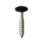 Coloured Stainless Steel Wood Screws