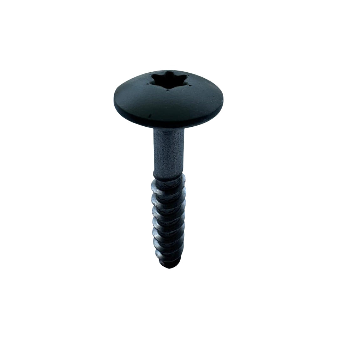 RAL Coloured Stainless Steel Wood Screws