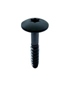 RAL Coloured Stainless Steel Wood Screws