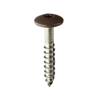 Coloured Stainless Steel Wood Screws