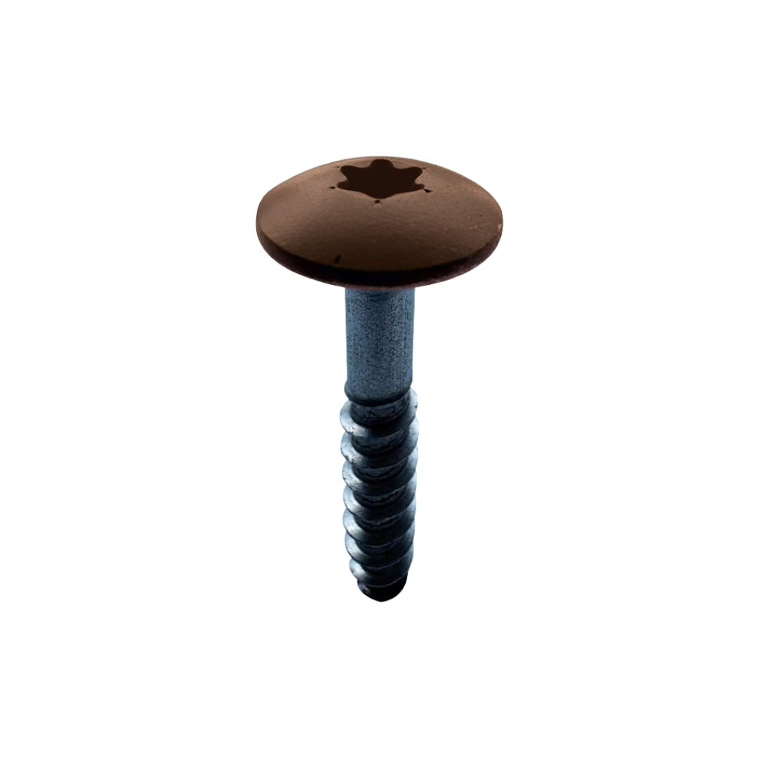 RAL Coloured Stainless Steel Wood Screws