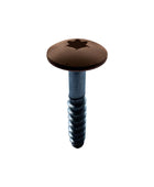 RAL Coloured Stainless Steel Wood Screws