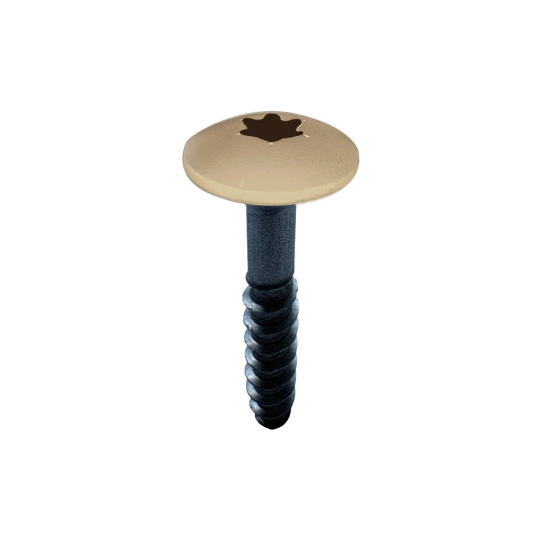 RAL Coloured Stainless Steel Wood Screws