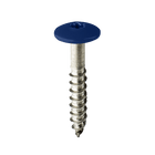 Coloured Stainless Steel Wood Screws