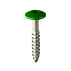 Coloured Stainless Steel Wood Screws