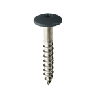 Coloured Stainless Steel Wood Screws