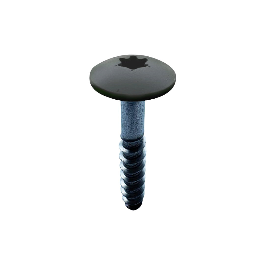 RAL Coloured Stainless Steel Wood Screws