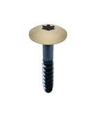 Coloured Hardie Panel Screws