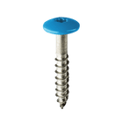 Coloured Stainless Steel Wood Screws