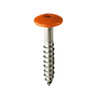 Coloured Stainless Steel Wood Screws