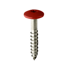 Coloured Stainless Steel Wood Screws