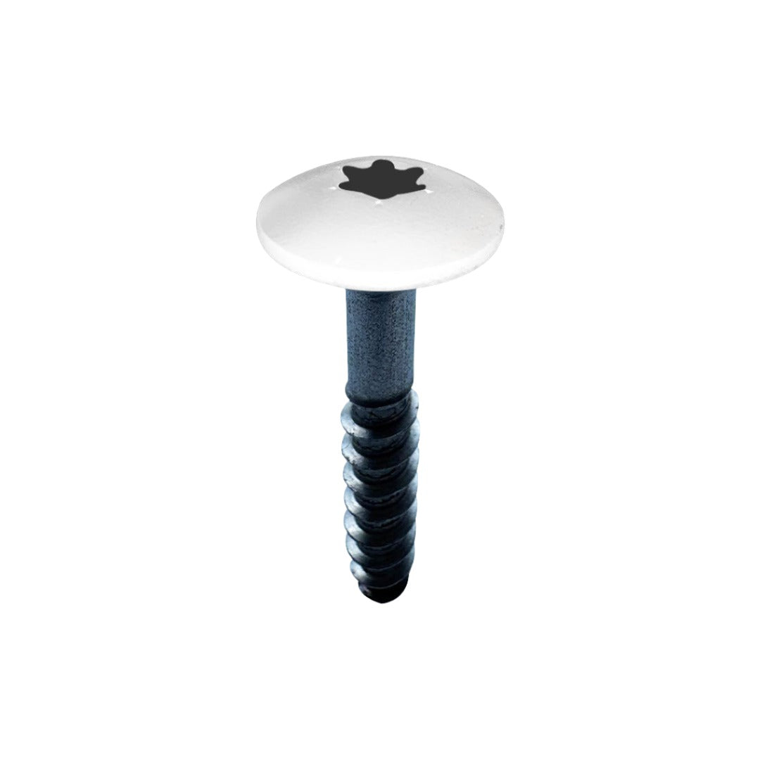 RAL Coloured Stainless Steel Wood Screws