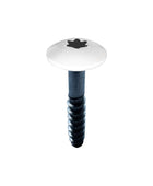 RAL Coloured Stainless Steel Wood Screws