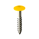 Coloured Stainless Steel Wood Screws