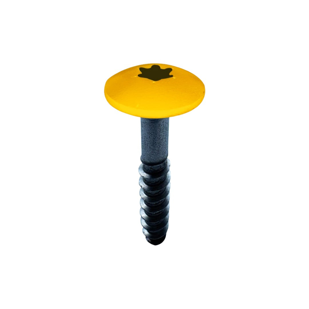 RAL Coloured Stainless Steel Wood Screws